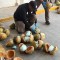 Desmantelan cargamento de fentanilo oculto en cocos