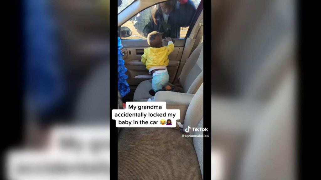 Watch how this baby manages to open a car