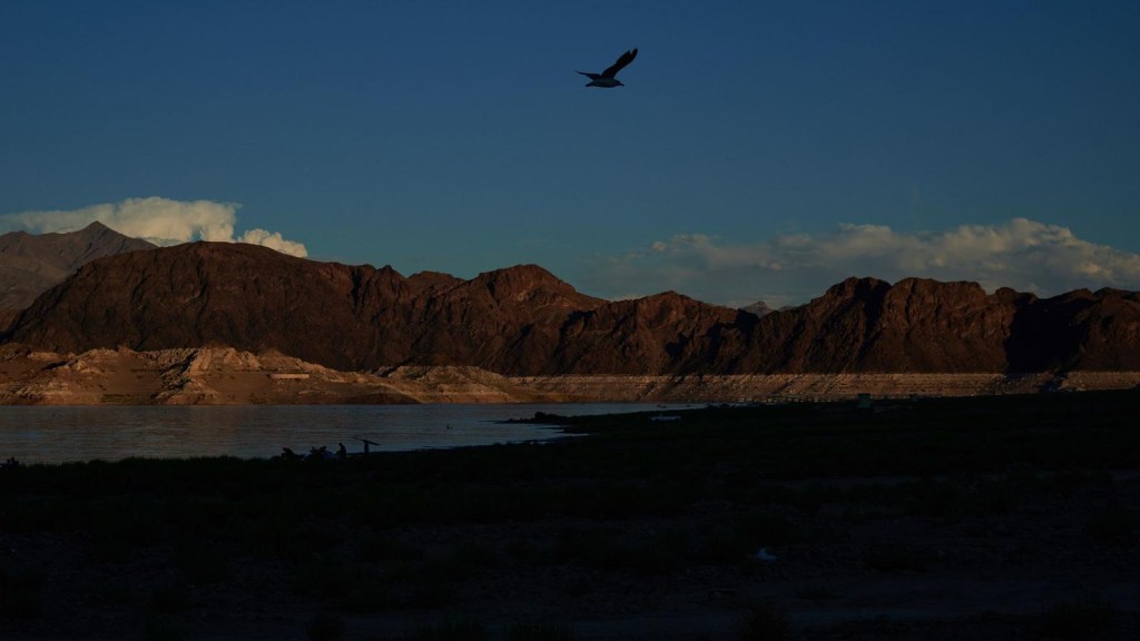 Bodies found at the bottom of Lake Mead