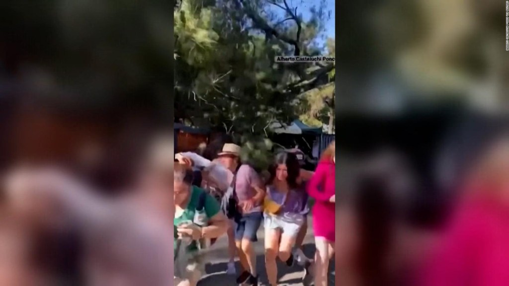 Two heridos en Argentina tras caerse la branch de un arbol
