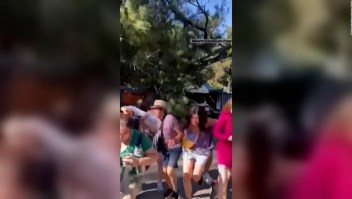 Dos heridos en Argentina tras caerse la rama de un árbol