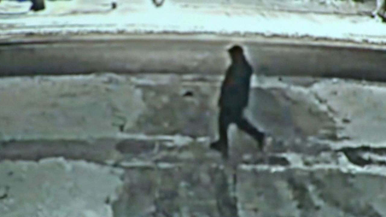 Blurred image of a possible suspect in the case of the death of the Shermans. 