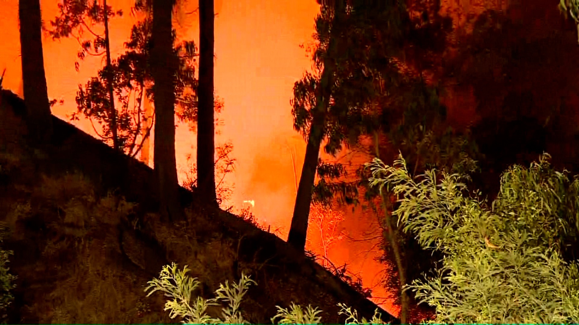 Incendio En Valpara So Deja Al Menos Un Muerto Y Alrededor De 500 Casas   Chile Incendios Valparaiso 