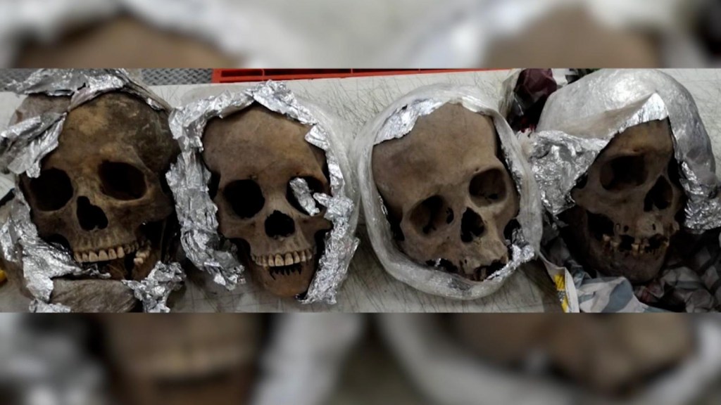 México: encuentran aparentes cráneos humanos en un cargamento