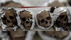 México: hallan aparentes cráneos humanos en un cargamento