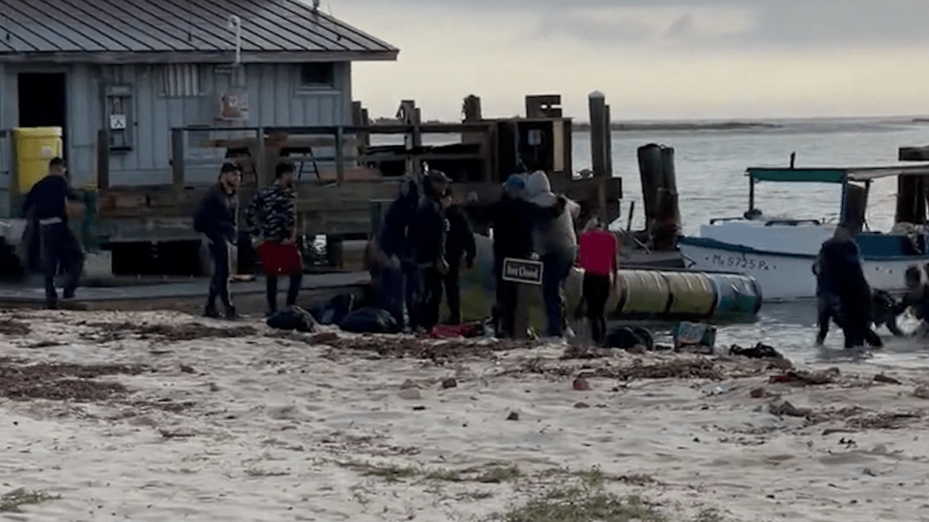 Alertan de una crisis en Florida por llegada de cientos de migrantes