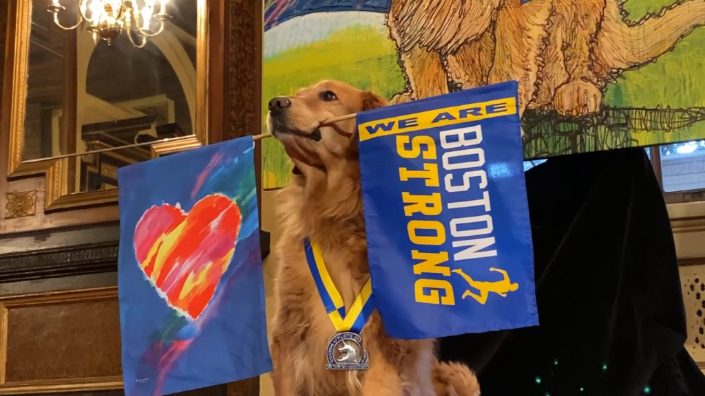 Golden retriever de la maratón de Boston es honrado con un retrato