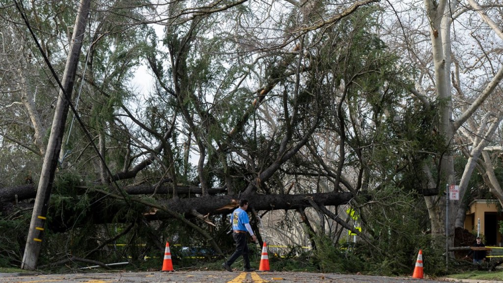 Un árbol derribado bloquea la calle H el domingo en Sacramento, California. (Crédito: Sara Nevis/AP)