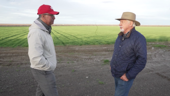 Tras largas sequías, las lluvias traen alivio a los agricultores en California
