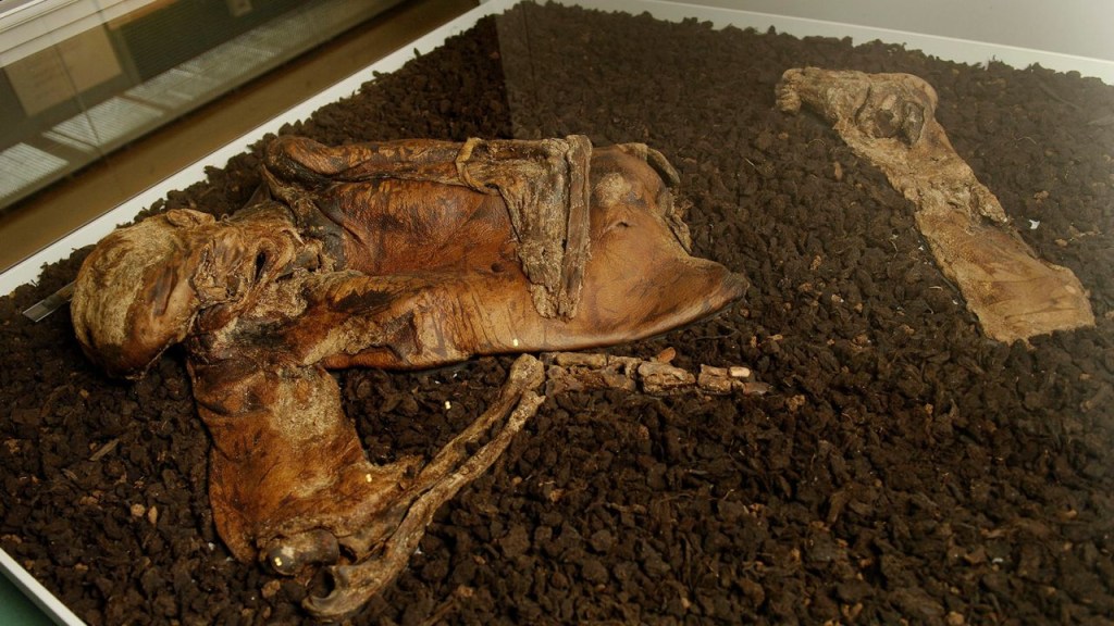 Estos son los restos petrificados del Hombre de Lindow en el Museo Británico. (Sarah Lee/eyevine/ZUMAPRESS.com)