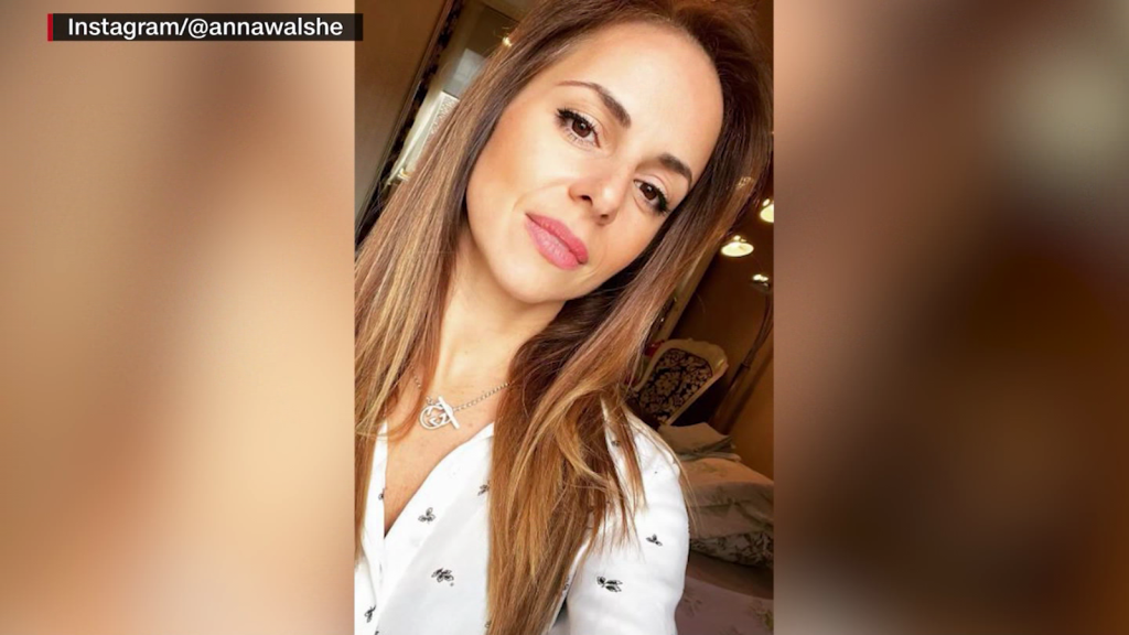 What we know about the case of the disappearance of Ana Walshe in Massachusetts