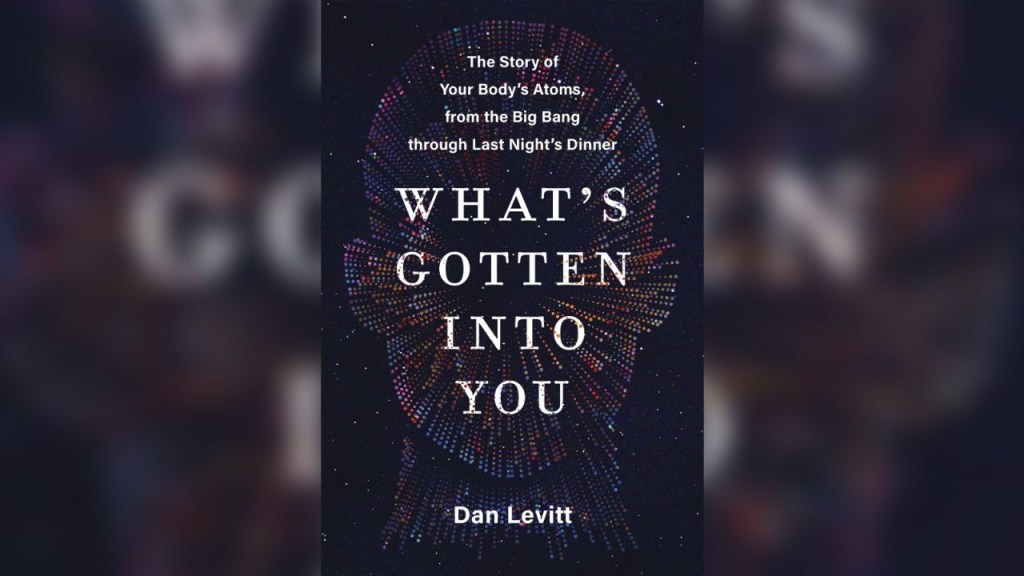 Libro di Dan Levitt "Cosa ti è successo" Ricostruisce il viaggio dei nostri atomi attraverso miliardi di anni.