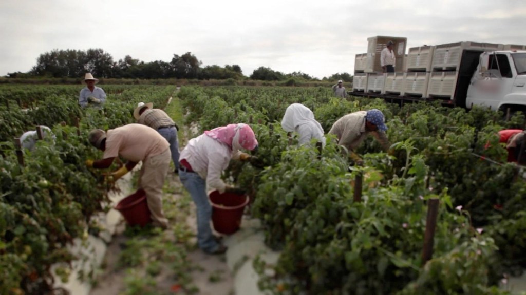 This is how the conditions of farm workers in Florida improved