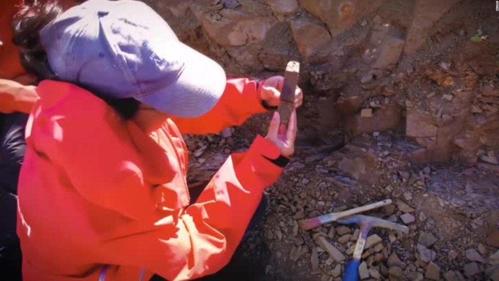 Hallan restos de dinosaurio emplumado en Chile