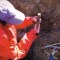 Encuentran restos de dinosaurios emplumados en Chile