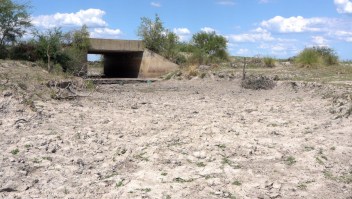 Prolongada sequía causa desastres en las producción argentina