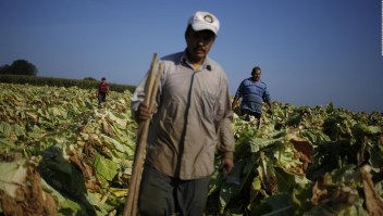 América Latina: ¿hay escasez o mala distribución de alimentos?