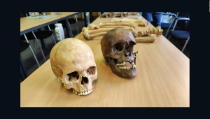Hallan huesos de soldados de la batalla de Waterloo