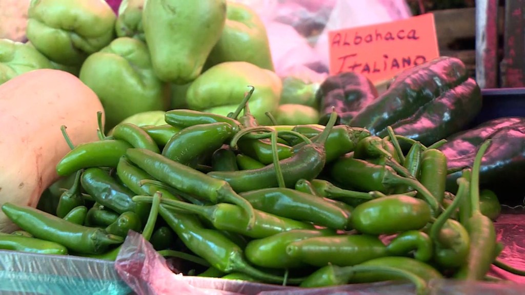 Chile Serrano, the Mexican ingredient that "costs like gold"