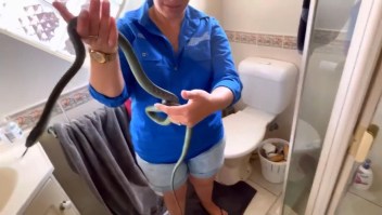 Hombre encuentra serpiente de 1,2 metros en su inodoro