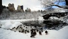 Casi 1.000 vuelos cancelados por tormenta de hielo en EE.UU.