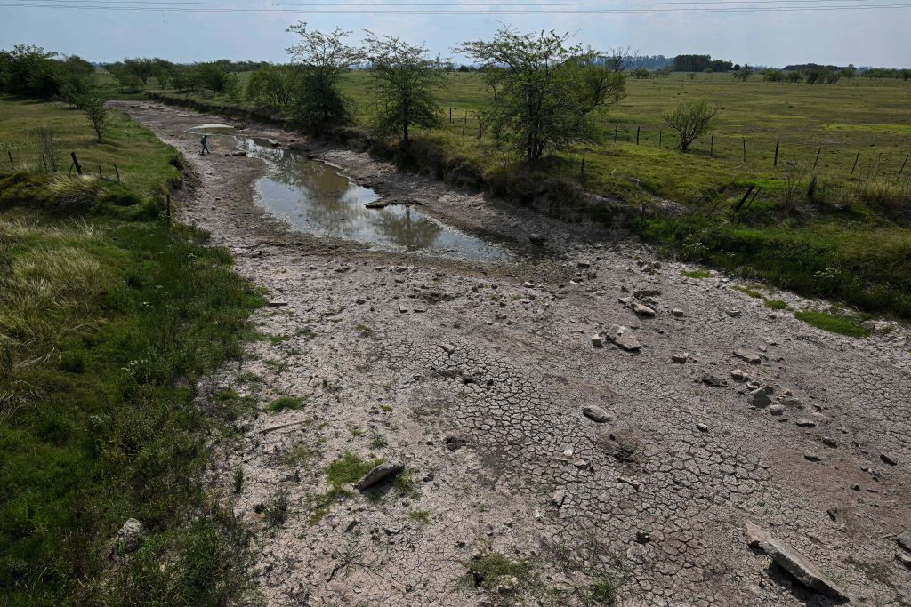 The drought in Argentina affects more than half of the national territory (Credit: LUIS ROBAYO/AFP via Getty Images)