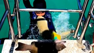 Un tiburón muerde a un niño australiano de 8 años