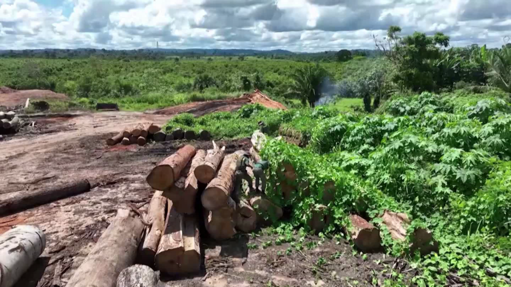 New policies to protect the Amazon in Brazil