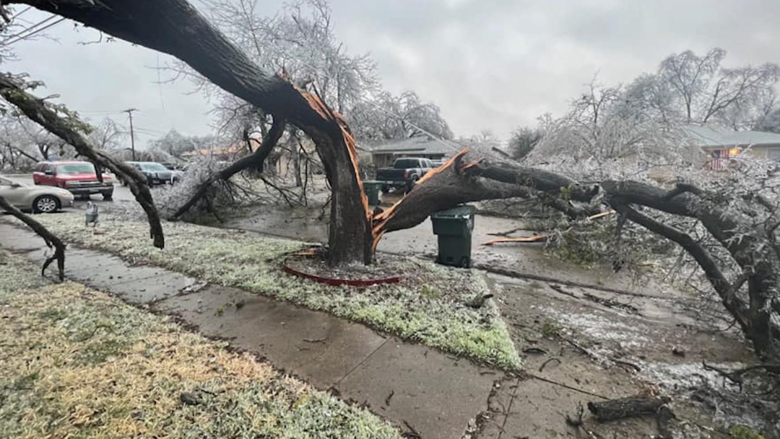 Ice storm in Texas leaves destruction and collapsed trees The Limited