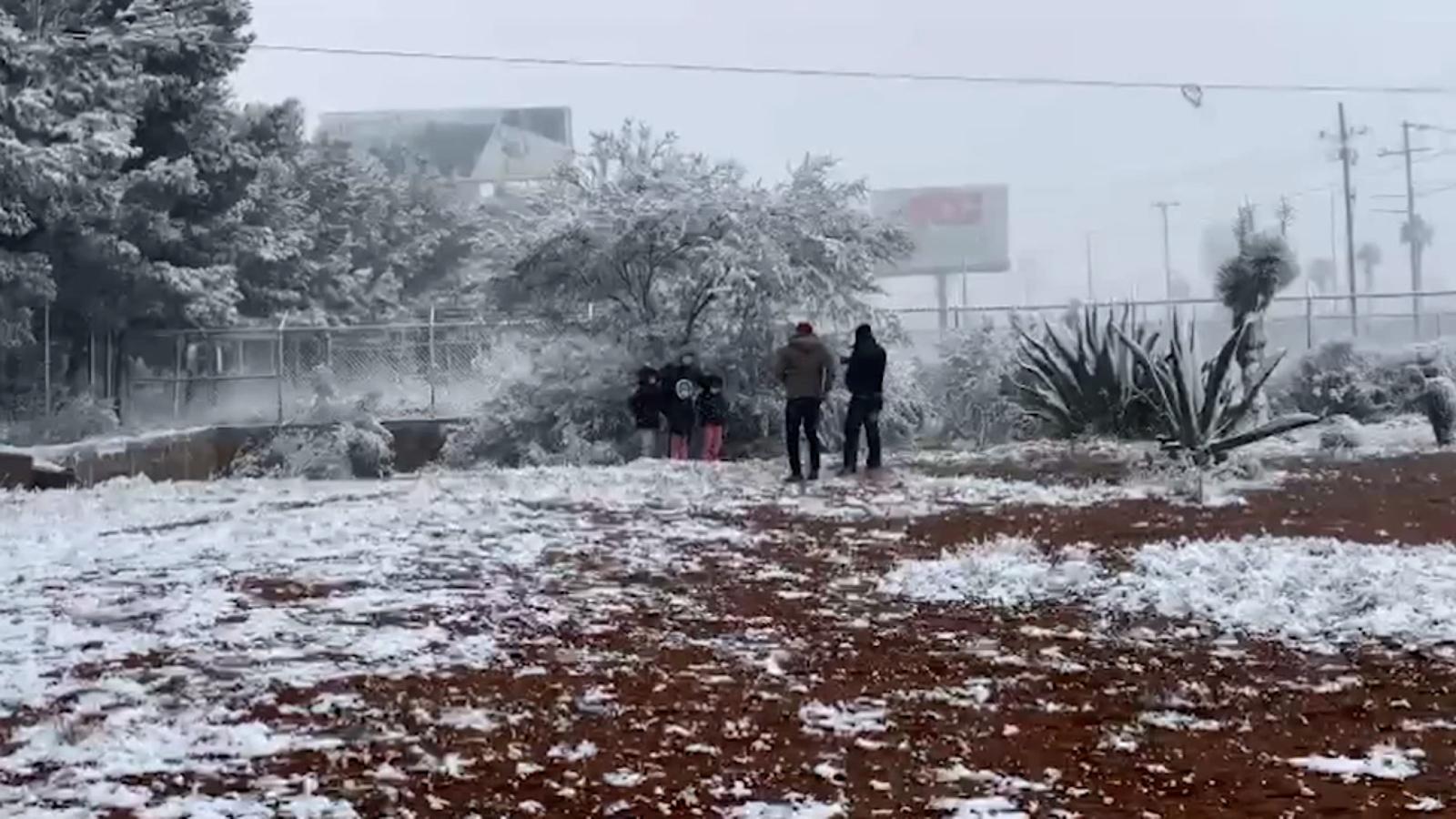 México espera al menos 15 días fríos, según experto |  Video