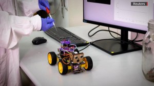 Científicos desarrollan robot con antenas de langostan