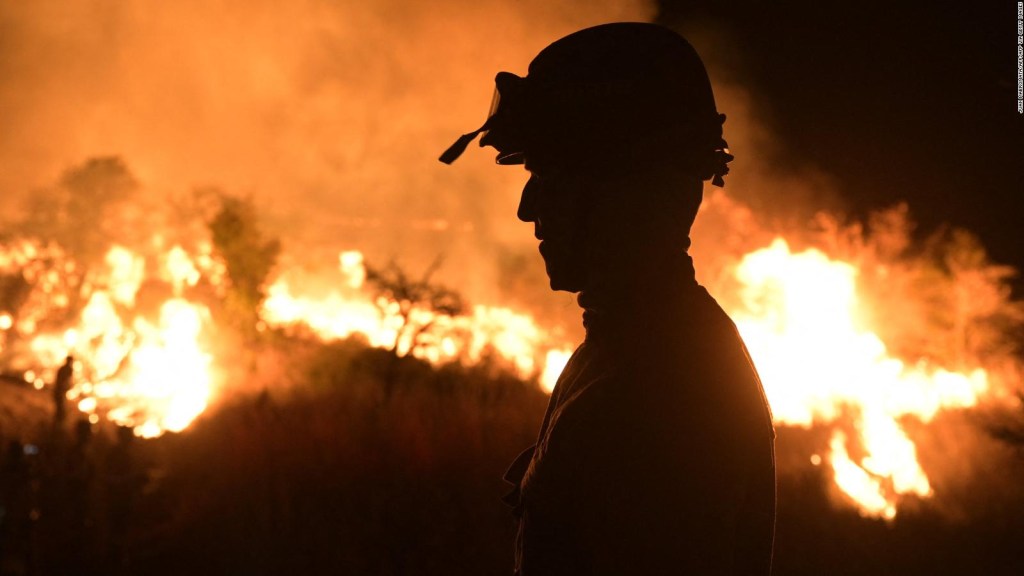 Alarma por incendios forestales en las provincias de Argentina