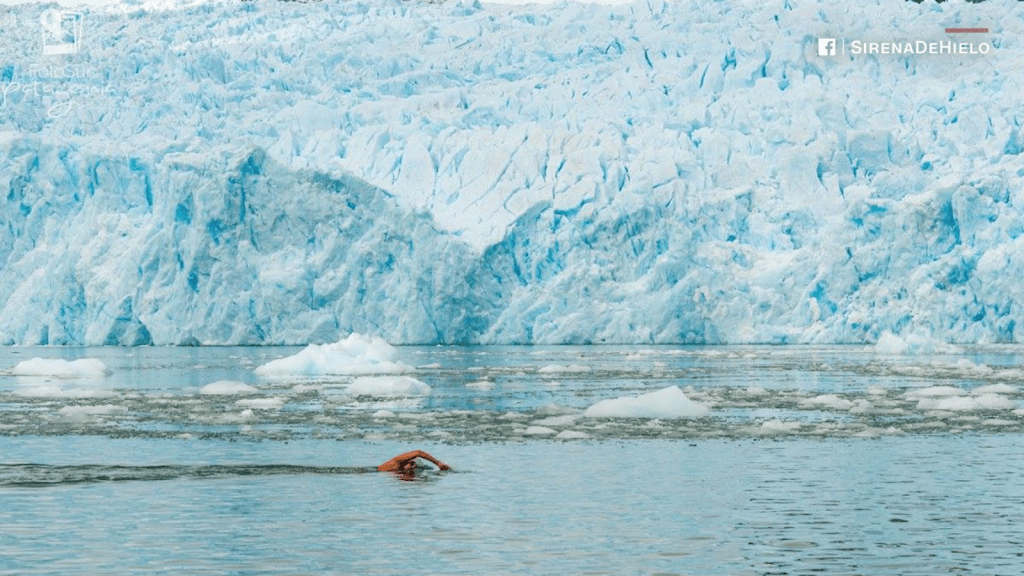 Allí "sirena de hielo" Mujer chilena rompe récord de nadar en agua helada
