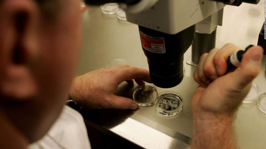 Fecundación in vitro: ¿elegirías embriones por sus aptitudes intelectuales?