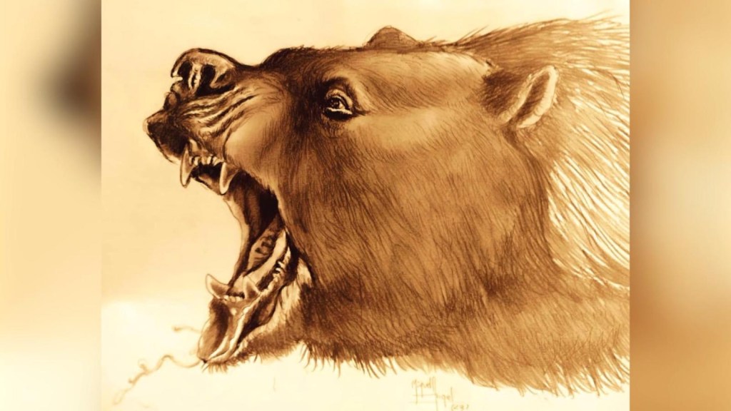 Hallan restos de oso perezoso que caminó hace 200.000 años en Buenos Aires