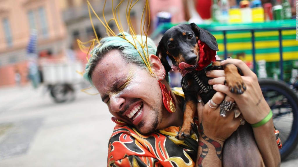 Dogs dress up in costumes at Rio's canine carnival