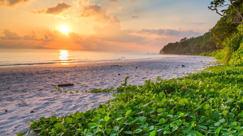Radhanagar Beach on Havelock Island, India is surrounded by lush vegetation.  Ranked 7th in the world this year.  (Credit: s4sanchita/Adobe Stock)