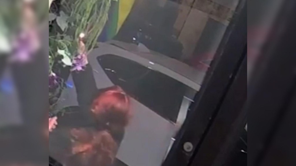 UU.: Mujer registrada quema bandera del orgullo gay en Nueva York