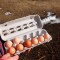 Altos precios de huevos en EE.UU. y el riesgo de criar gallinas en casa