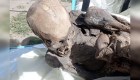 ¿Qué hacía una momia prehispánica en la hielera de un repartidor de envíos?