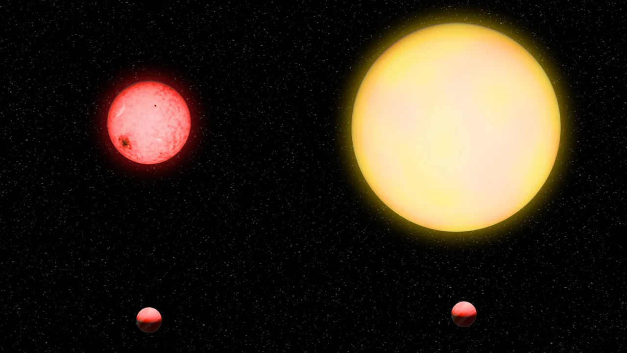 In terms of sizes, TOI-5205b (lower left) orbits a red dwarf star (upper left) like a lemon, and a Jupiter-like planet (lower right) orbits a Sun-like star.  (top right) is comparable to a pea surrounding a grapevine.