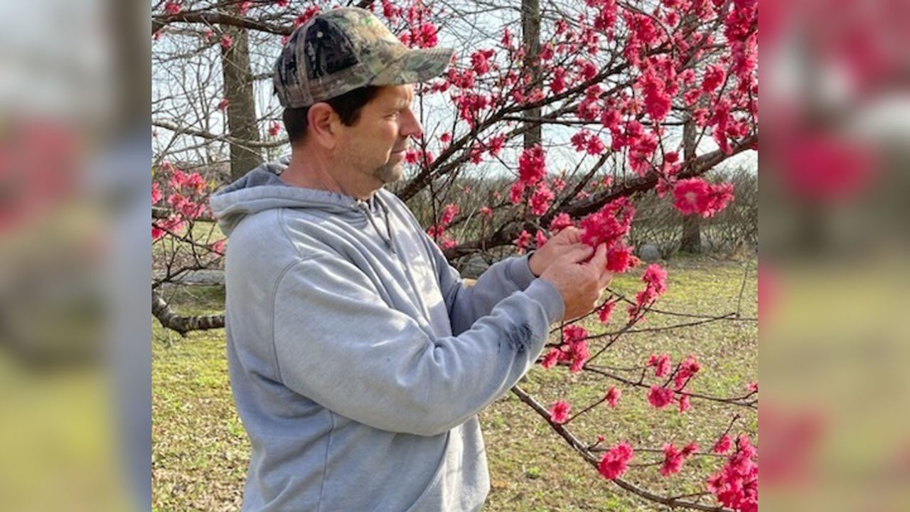 Peach trees warm temperatures in February