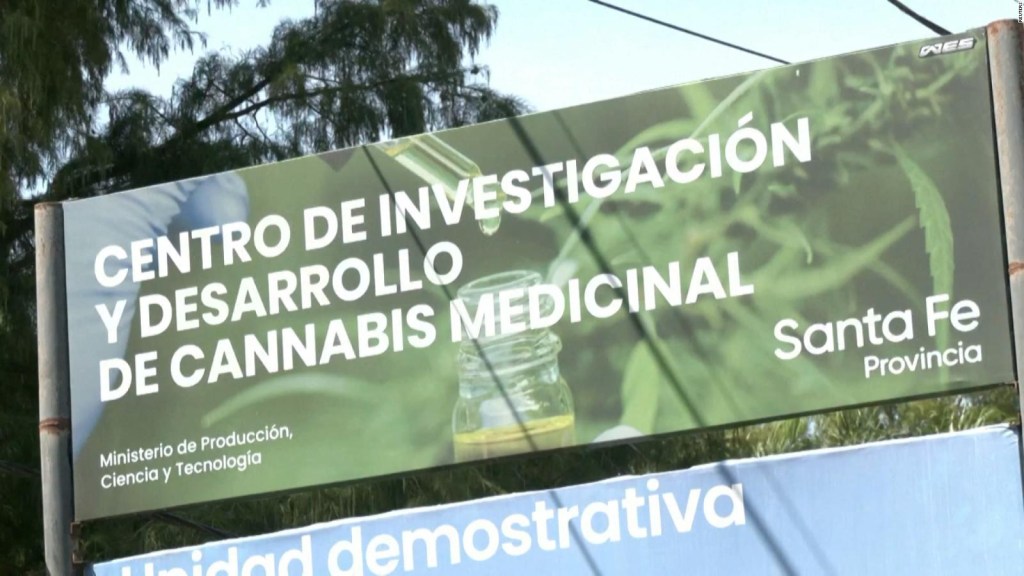 Argentina busca legalizar la venta de marihuana