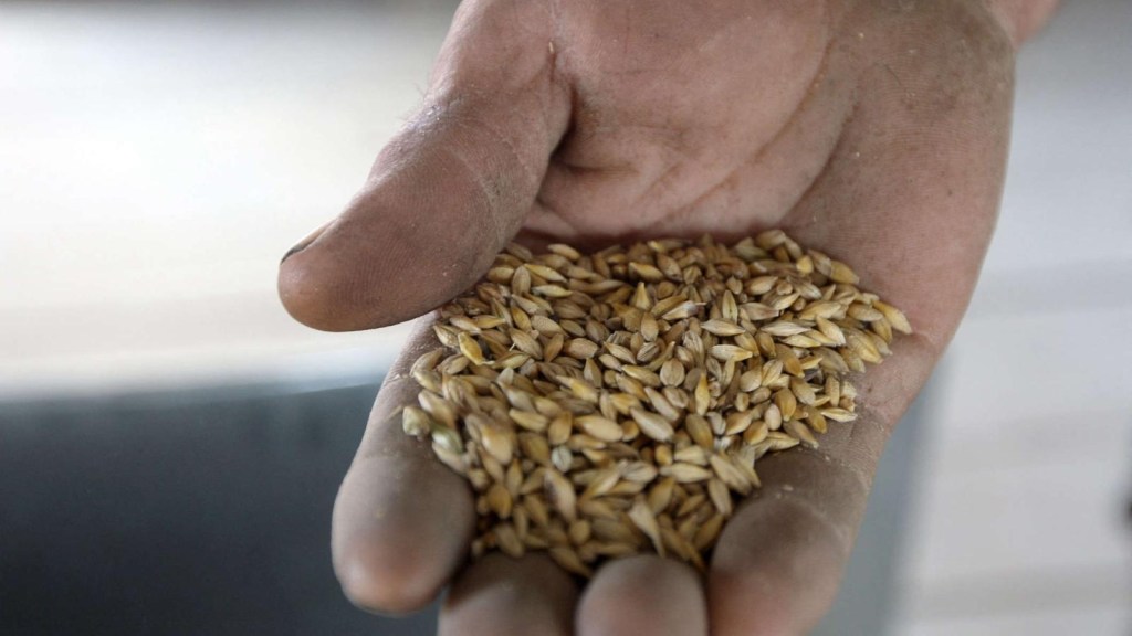 Se prorroga el acuerdo de cereales entre Ucrania y Rusia