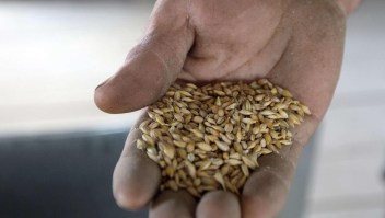 Se extiende el acuerdo de granos entre Ucrania y Rusia
