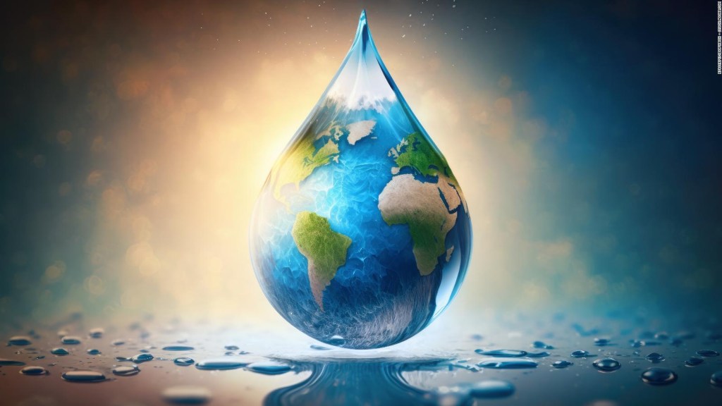 World Water Day: what to do to take care of the most important resource?