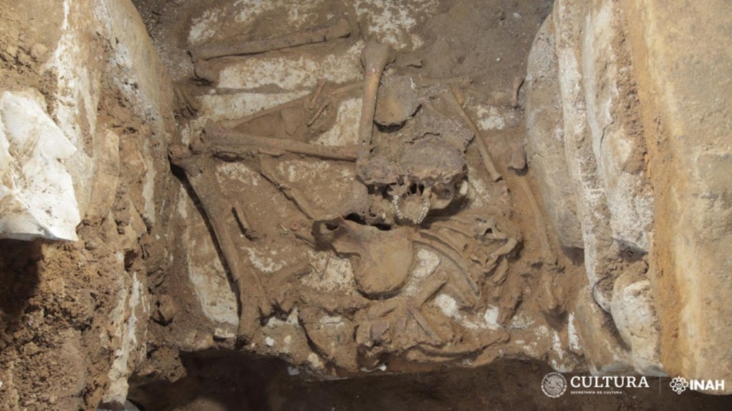 Descubren restos prehispánicos durante construcción del Tren Maya