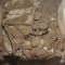 Descubren restos prehispánicos durante construcción del Tren Maya