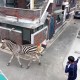 Una cebra se pasea por las calles de Seúl