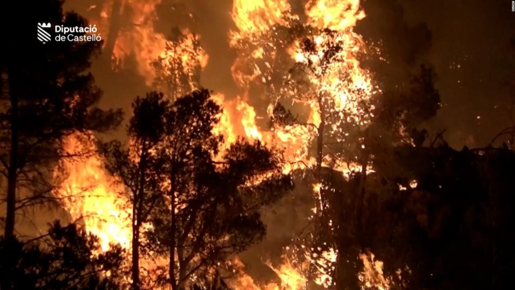 Destruction of a forest fire in Spain